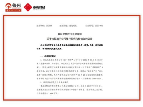 青島雙星代償1000萬助力子公司轉(zhuǎn)型，星聯(lián)科技聚焦技術(shù)服務(wù)與技術(shù)轉(zhuǎn)讓新賽道